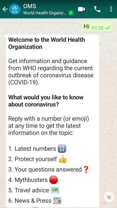 OMS lança serviço informativo no WhatsApp