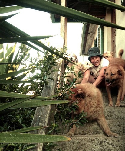 Os Cães, os Gatos e a Clara