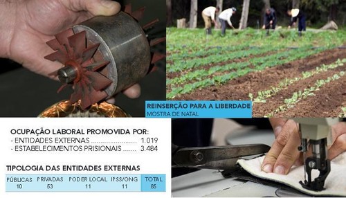Reinserção Social