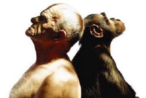 HomemCostasMacaco.jpg HomemCostasMacaco.jpg