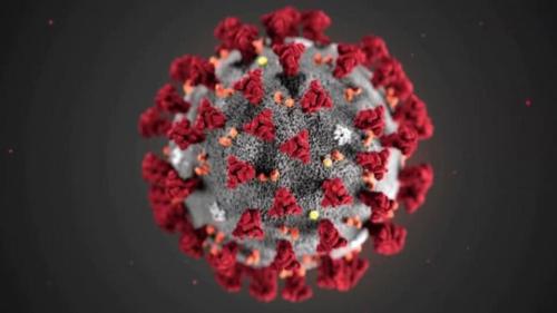Coronavirus3.jpg