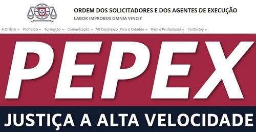 Justiça Privada versus Justiça Pública