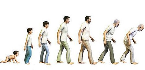 IdadeEvolucao.jpg IdadeEvolucao.jpg