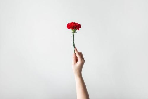 Abril: dia 25 = 45 Anos ainda a Descongelar