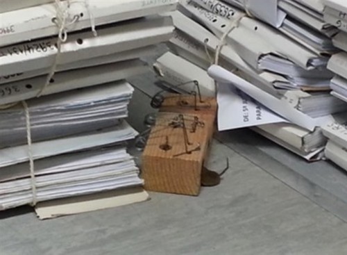 RatoRatoeiraProcessos.jpg RatoRatoeiraProcessos.jpg