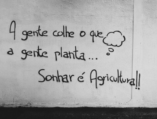 Grafiti-SonharAgricultura.jpg Grafiti-SonharAgricultura.jpg