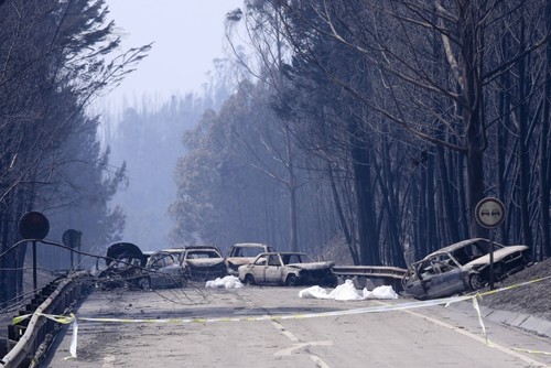IncendioPedrogaoGrande2.jpg