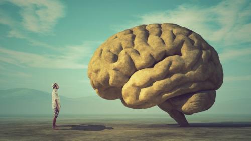 Cerebro-Olhar.jpg Cerebro-Olhar.jpg