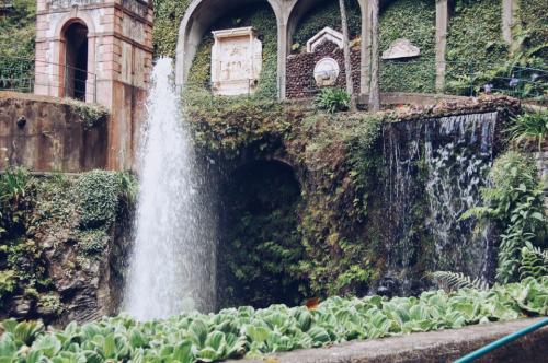 Jardim Monte Palace 06.JPG