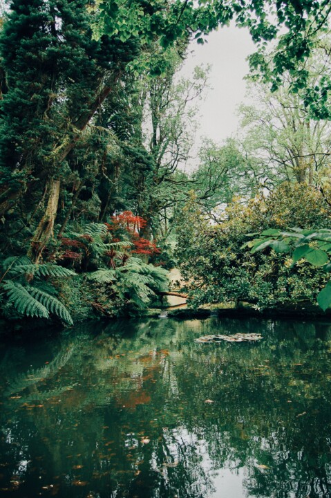 Parque Terra Nostra 04.JPG