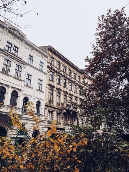 Viena, parte três.