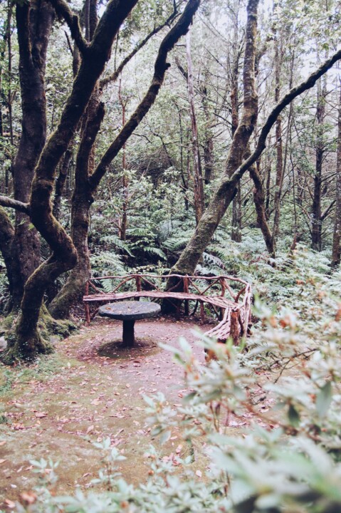 Levada Queimadas 01.JPG