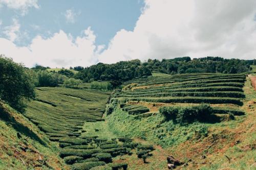 São Miguel, dia 05
