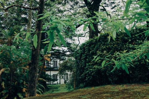 Parque Terra Nostra 02.JPG