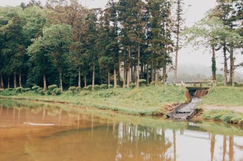 Lagoa Sete Cidades 03.JPG