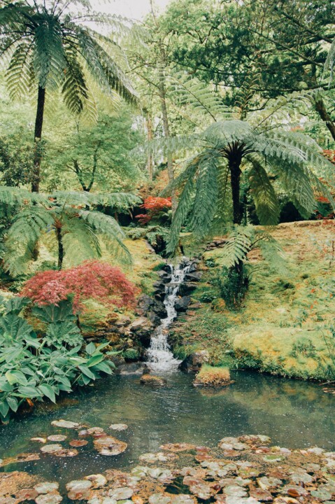 Parque Terra Nostra 03.JPG