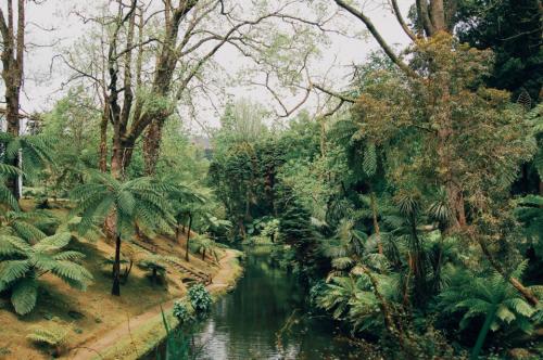 São Miguel, dia 02