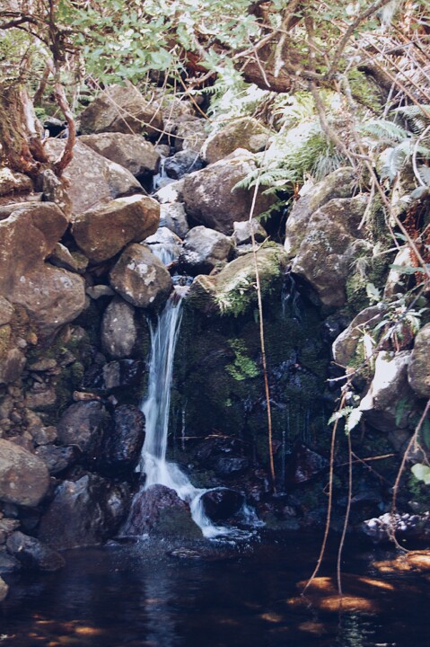 Levada Alecrim 04.JPG