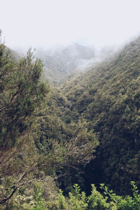 Levada Queimadas 07.JPG
