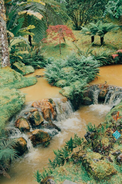 Parque Terra Nostra 08.JPG
