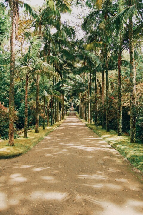 Parque Terra Nostra 05.JPG