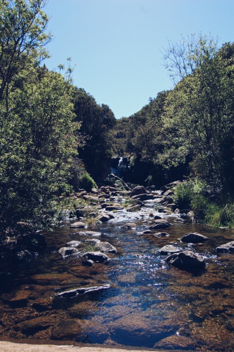 Levada Alecrim 07.JPG