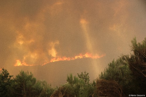 Inc&ecirc;ndio 4 - HSequeira.jpg