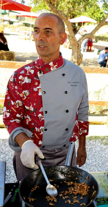Ant&oacute;nio SEQUEIRA _o.jpg