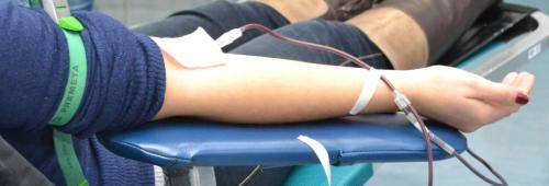 Recolha de sangue.jpg Recolha de sangue.jpg
