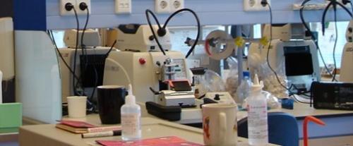 Laboratório - Foto.jpg Laboratório - Foto.jpg