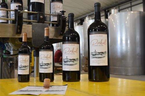Vinho de Pinhel.jpg Vinho de Pinhel.jpg