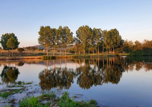 Paisagem - JP Trabulo.jpg