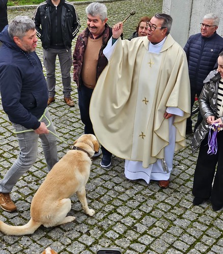 Ben&ccedil;&atilde;o dos animais_safurd&atilde;o_2_CORREIO DA GUARDA