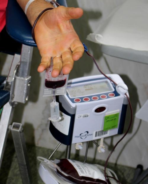 Recolha de sangue - .jpg Recolha de sangue - .jpg