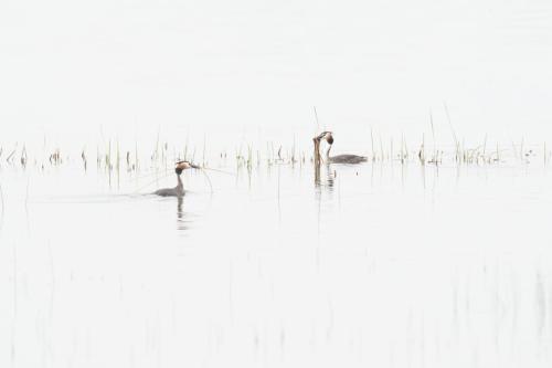 Premio de Fotografia.jpg