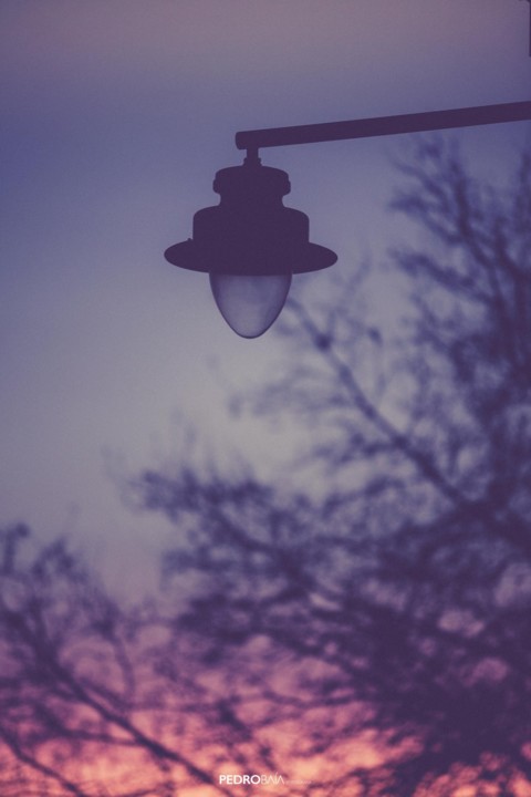 luz.jpg