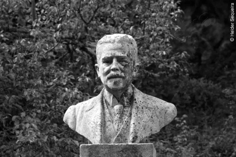 Lopo de Carvalho