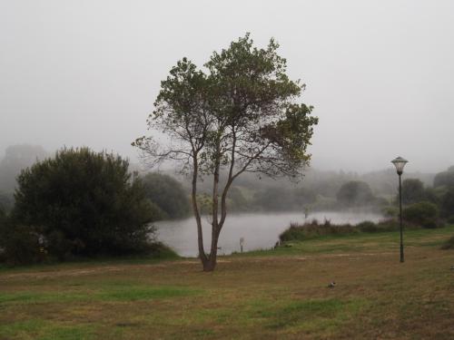 Parque da Cidade - Porto