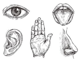 sense-organs-hand-drawn-mouth-and-tongue-eye.jpg sense-organs-hand-drawn-mouth-and-tongue-eye.jpg