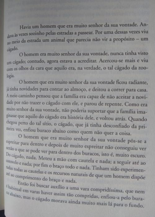 O C&aacute;gado 2.jpg
