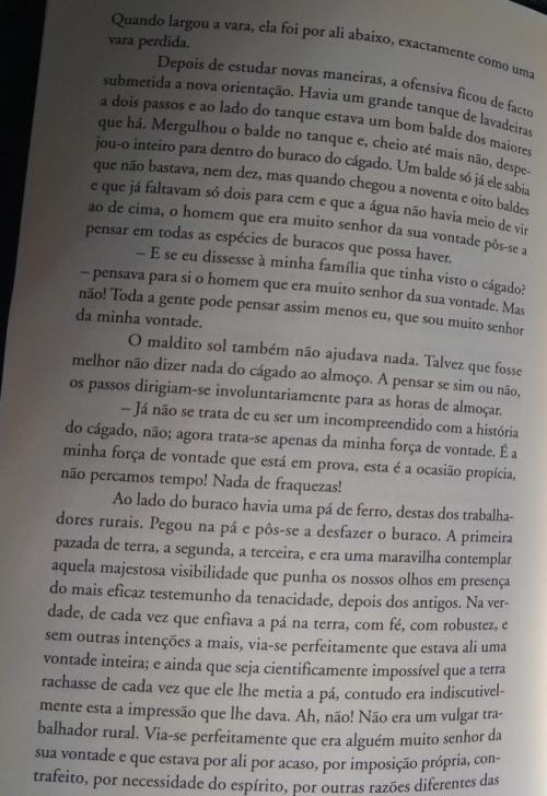 O C&aacute;gado 3..jpg