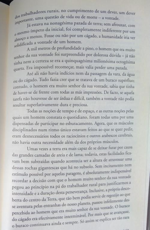 O C&aacute;gado 3...jpg