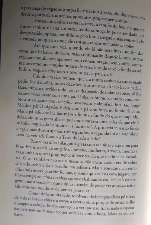 O C&aacute;gado 4..jpg
