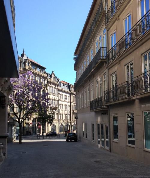 Rua do Bonjardim - S&aacute; da Bandeira.jpg