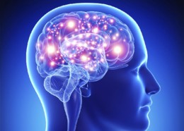 brain.jpg brain.jpg