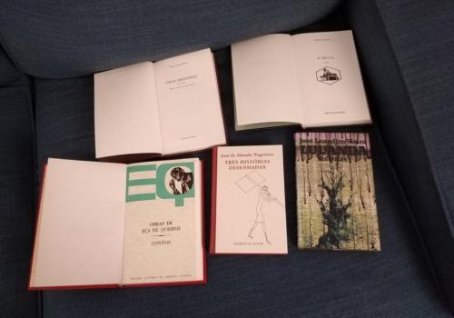 PechinchasDia1FeiraDoLivro2020.jpg