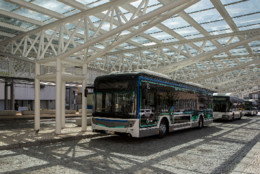 stcp-autocarro.jpg stcp-autocarro.jpg