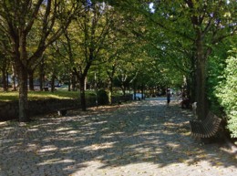 Quinta do Covelo.jpg