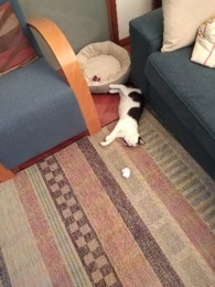 IMG_20210415_193315.jpg