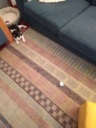 IMG_20210415_193244.jpg